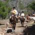 Last Foxhunt of the Season: Oak Grove Hunt